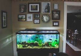 A Peek Inside Our Place Fish Tank Gallery Wall Fish Tank Wall Gallery Wall Hanging Fish Tank Decorations