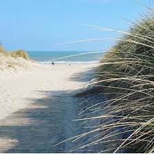 Ireland Calling On Instagram Let S Pretend Summer Is Here You Could Definitely Think So With This Picture Of Curracloe Beach In Wexf Picture Beach Landscape