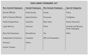 The $9 versions are spreadsheets that. Overview Of Flsa Categories Of Employees Mtas
