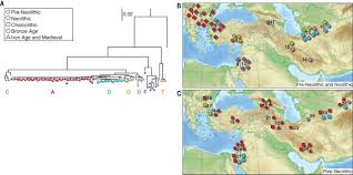 Buku mimpi erek erek 65 dan angka kode alam | permainan nomor 64 bangau dan kode alam dari buku mimpi … tulisan terbaru. Ancient Goat Genomes Reveal Mosaic Domestication In The Fertile Crescent Science