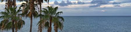 Integrative and restorative medical center is a medical group practice located in port charlotte, fl that specializes in functional medicine. Rolando Irizarry Network Marketing Director Shorepoint Health Port Charlotte Punta Gorda And Venice Community Health Systems Linkedin