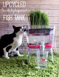 Watching fish swim about like they haven't a care in the world is a very therapeutic and calming activity. 30 Brilliantly Creative Diy Aquariums