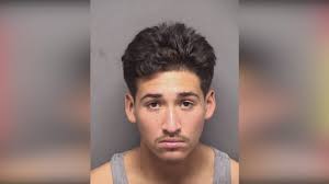 Man who shot a woman in the face during attempted carjacking sentenced to  45 years in prison