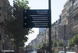 There are no formal rules in the netherlands to distinguish cities from other settlements. Atlas Dutch Who Speaks It