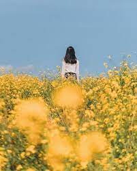 Aesthetic Dreamy Aesthetic Aesthetic Pictures Yellow Aesthetic