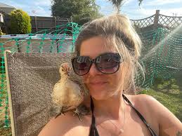 pm² ylh lemon 17 months old from redwings lagkaw game farm loon balilihan  loc