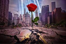 Image Result For The Rose That Grew From Concrete Painting Growing Roses Concrete Art Tattoo Studio Interior