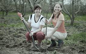 Peter and Marty Braun