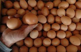 Check spelling or type a new query. Harga Telur Ayam Broiler Pekan Ini Beringsut Naik