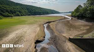 Real creepshot the girl unlatched the door and I was