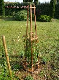 Tuteur Haricot Ecosia Trees To Plant Macro Photos Garden Arch