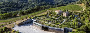 Tenuta Luce | Toskana 1/1 | Story + Gerardo [en]