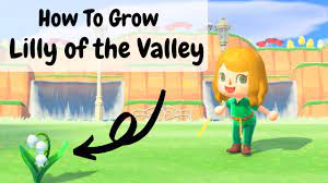 Wait for your lily of the valley flowers to grow. How To Grow A Lilly Of The Valley Animal Crossing New Horizon Game Play Tutorial Youtube