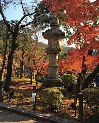 2017年秋 京都賞楓之旅 永觀堂禪林寺 秋陰 宋艾性夫老蟬吟漸懶 愁蚓思無窮 數點菊花雨 一溪茅屋風 苔衣秋井綠 楓纈曉山紅 急索鶉裘補 寒先及老翁 autumn o japanese garden dream garden japanese lanterns