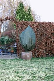 Housse D Hivernage Verte Diametre 100 Cm X 1 50 M Au Meilleur Prix Hivernage Toile De Paillage Vert