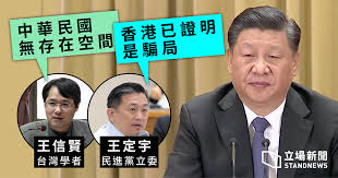 Image result for 洪秀柱 中華民國存在就是兩國論