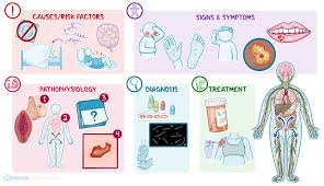 Image result for syphilis symptoms