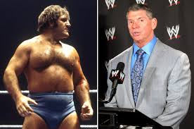 Image result for Bruno Sammartino