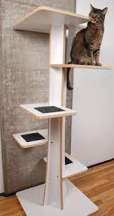 Pin On Cat Stuff