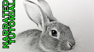 Here presented 64+ realistic animals drawing images for free to download, print or share. How To Draw Animals 50 Free Tutorial Videos To Help You Learn Step By Step