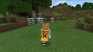 In this skins pack collected some of the most popular capes from the pc version to mcpe. Minecraft Pocket Edition Bedrock Emotes Capes Mcbedrock Com