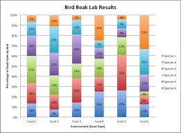 Bird Beaks Competition And Natural Selection