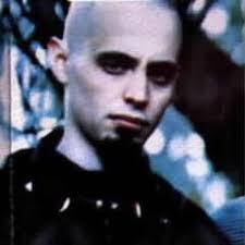 Stephen Bier's Instagram, Twitter & Facebook