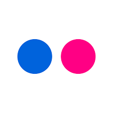 Flickr logo computer icons, button back, angle, text png. Brand Guidelines