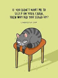 Pin By Bel 3 On The Cat Cat Jokes Cats Illustration Cool Cats
