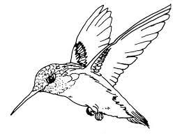 We did not find results for: Ruby Throated Hummingbird Bird Coloring Page Color Luna Bird Coloring Pages Hummingbird Coloring Pages Hummingbird Colors
