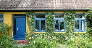 A garden trellis is an attractive way to support climbing plants. Self Clinging Plants With Rootlets Or Suckers