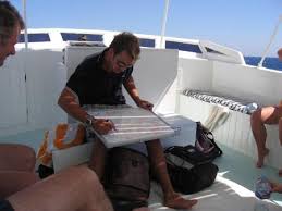 Turtle's inn hotel hurghada is an intimate accommodation offering quick access to abu tig marina and splendid views over the area. Orca Dive Club Turtle S Inn El Gouna Abu Tig Marina Foto 65196 Auf Taucher Net