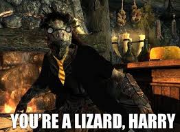 Sobe Just Made My Day R Funny Elder Scrolls Memes Skyrim Memes Skyrim