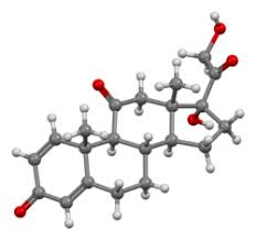 Image result for Prednisone