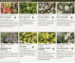 Check spelling or type a new query. Pdf Selecting Plants For Screens And Hedges Semantic Scholar