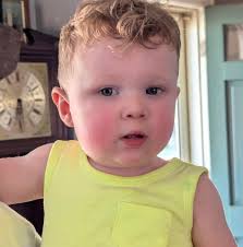 Reproduction hardtop lift hatches for sale?