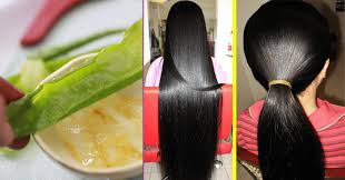 Mix two tablespoons of rosemary oil , two of olive oil , heat for 5 minutes, wait for the mixture to cool and apply to damp hair, massaging gently and letting it sit for 20 minutes. How To Grow Hair Faster And Thicker Naturally At Home Remedy