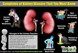 9 Foods That Increase The Risk Of Kidney Stones Top 10 Home Remedies Kidney Disease Symptoms Kidney Health Kidney Disease
