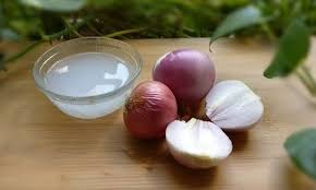 خلطة عصير البصل وزيت جوز الهند للتخفيف من تساقط الشعر Vegetables Garlic Food