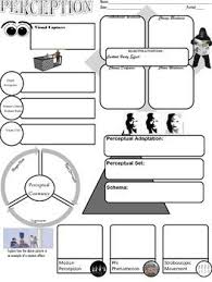 Psychology Perception Graphic Organizer For Key Concepts Graphic Organizers Psychology Ap Psychology