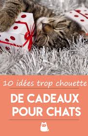 10 Cadeaux De Noel Originaux Pour Votre Chat En 2020 Chat Jouet Pour Chat Cadeau Chat