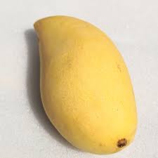 タイ食材、雑貨、通販、タイの市場 アイタイランド  イエローマンゴー タイ産 Lサイズ