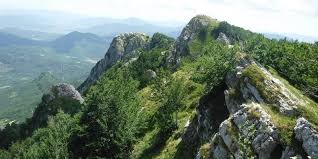 A stefano lepri l'attacco del ministro dello sport orlando, su chi vince grazie al paracadute, non piace. 16 Parchi Nazionali Dove Andare In Vacanza E Rispettare Il Distanziamento Fisico Il Post