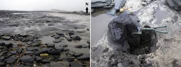Maybe you would like to learn more about one of these? Fine Dark And Organic Sedimentary Deposit Outcropping In The Beach Of Download Scientific Diagram
