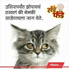 Marathi Funny Cat Videos Funny Cat Pictures Funny Cats