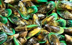 Health Benefits Of Green Lipped Mussel Green Lipped Mussel New Zealand Food Mussels