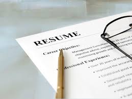 Resume Objective Examples And Writing Tips