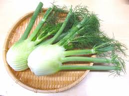 イタリア野菜 フィノッキオ 東京多摩青果株式会社