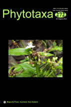 Image result for Tripogon