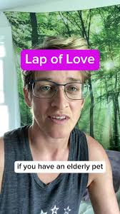 Today is Rainbow Bridge Remembrance Day, a special time to honor and  remember the beloved pets who have touched our lives and have since passed  on. It's a day to reflect on